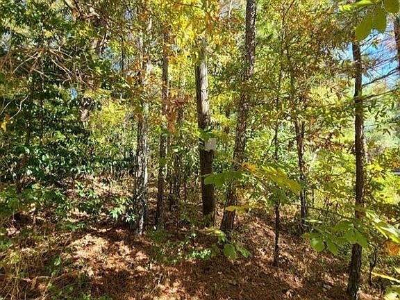 2nd image of 0 Scarlett Ln NE