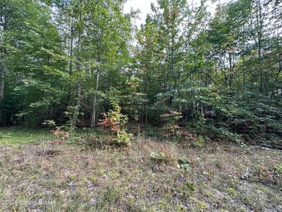 Cherokee Trl, Nancy, KY, 42544
