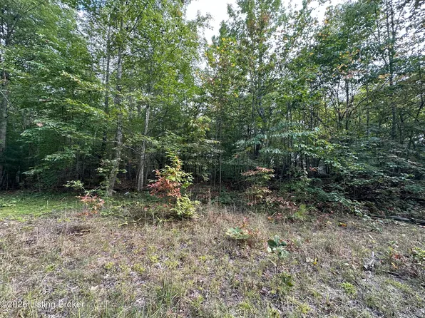 Cherokee Trl, Nancy, KY 42544