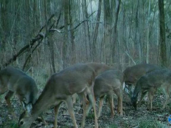 3rd image of 16735 County Road 8