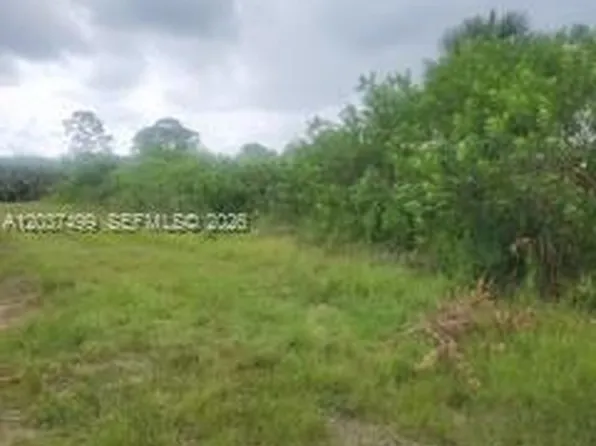 439 Naples Ave S, Lehigh Acres, FL 33974