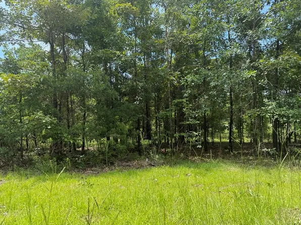 2825 Sunset Dr, Donalsonville, GA 39845