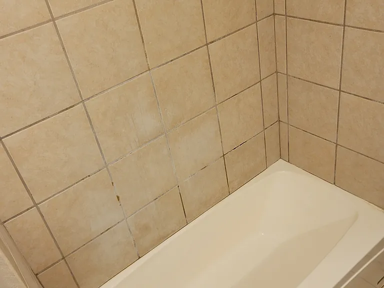 746 N Woodrow Ave — Photo 17