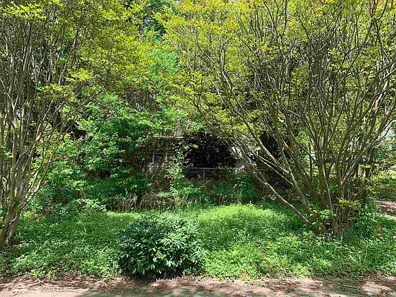 3rd image of 3405 Hillcrest Dr