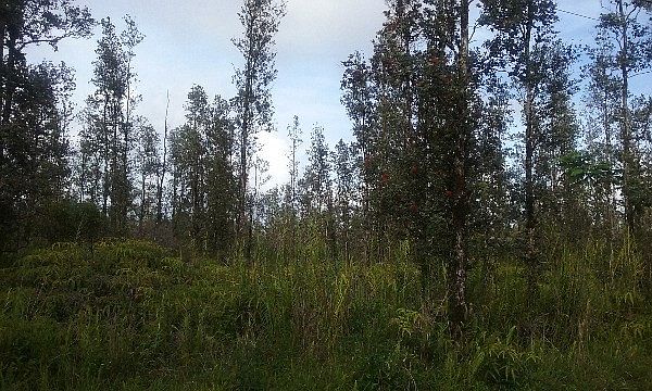 1st image of Road 7 Opeapea Lot 4735