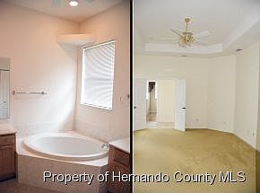 Master Tub  Master Bedroom 1