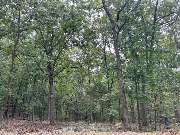 401 Silver Creek Rd, Farmington, MO 63640