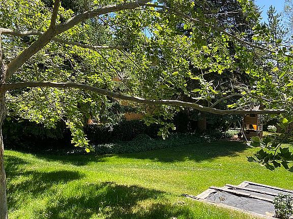 Mature trees/garden beds