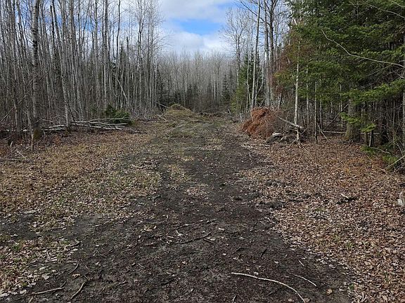 4th image of 10918 Oja Rd