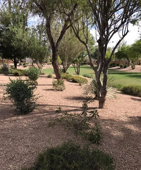 2348 E Meadow Lark Way — Photo 6
