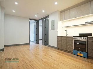 207 Rochester Ave #3B, Brooklyn, NY 11213