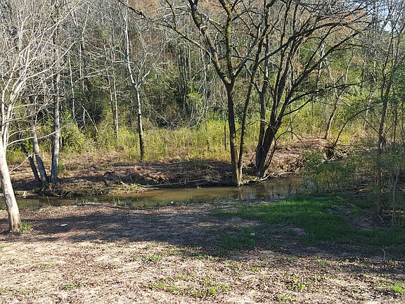 CREEK IN THE BACK YARD