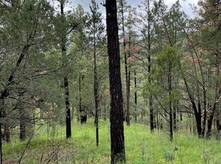 L78-81 E Redwood Dr, Ruidoso, NM 88345