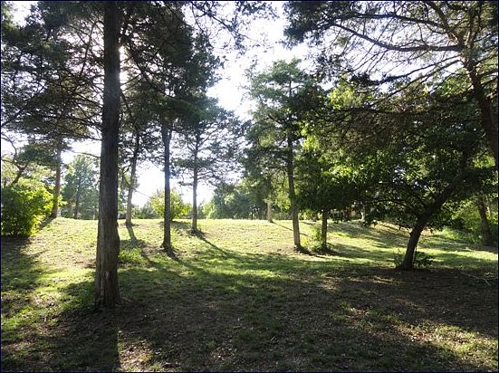 2nd image of 38 Timber Ridge Trl