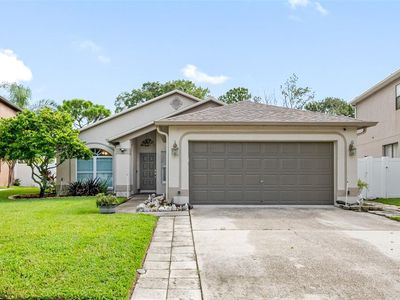 1623 Gray Bark Dr, Oldsmar, FL, 34677