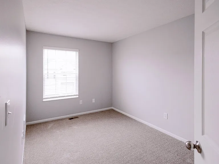 Plush Carpet