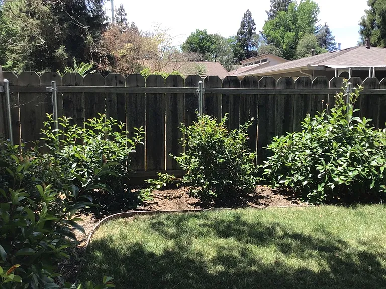 1267 N Cedar St — Photo 13