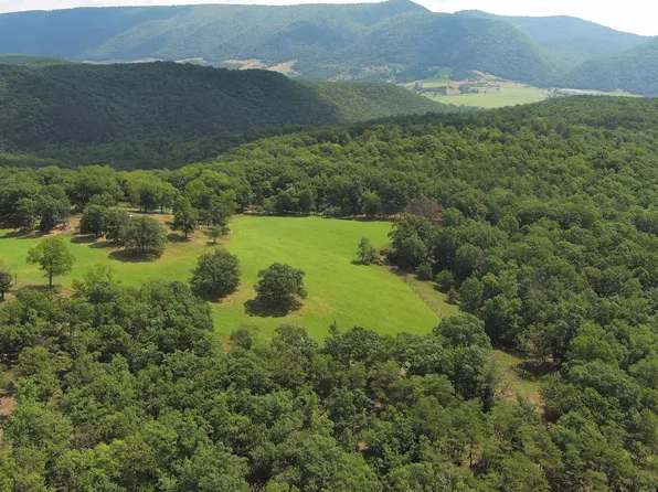 Justin Turner Rd, Lahmansville, WV 26731