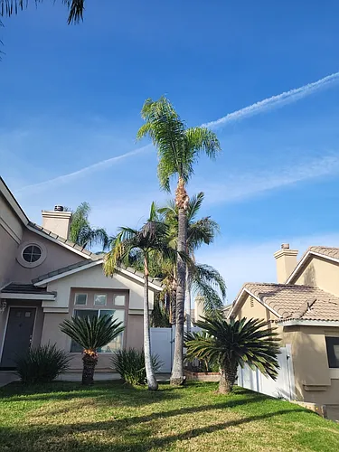 2480 S Buena Vista Ave Photo 1