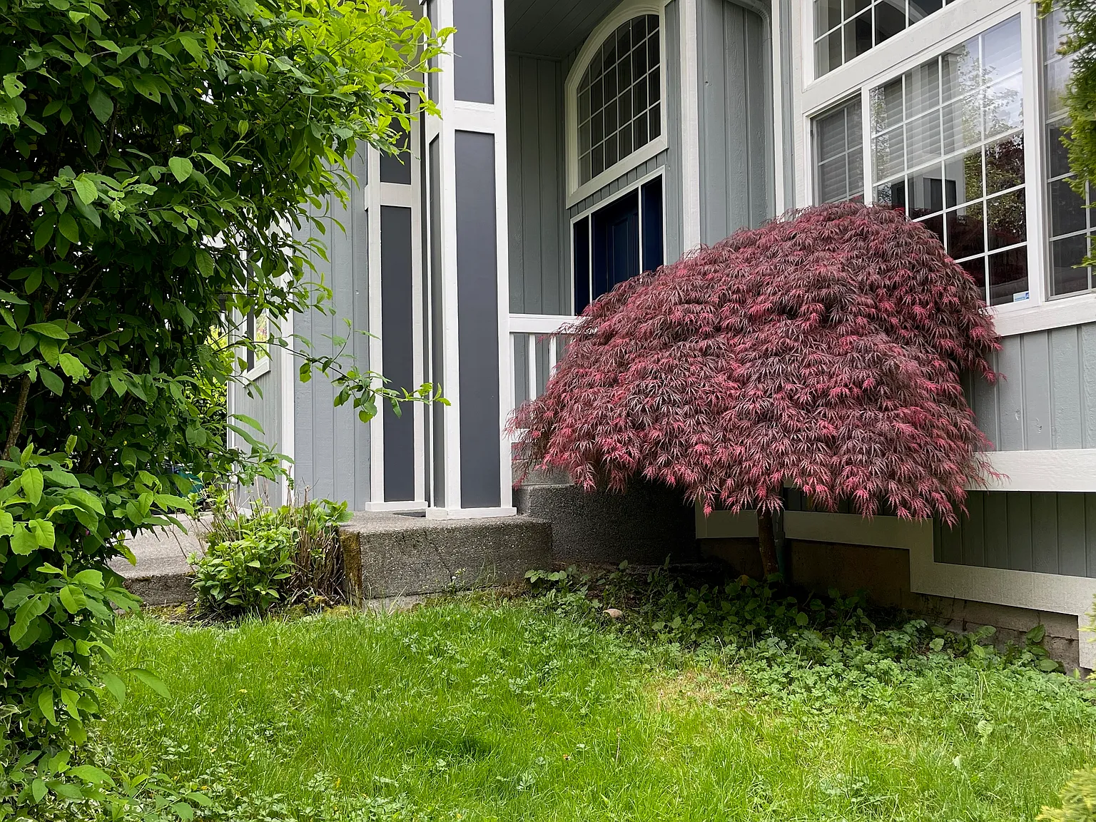 5 bed, 2.5 bath, 2440 sqft, $4,495 — Photo 3