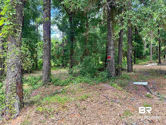 4th image of 16478 County Road 9