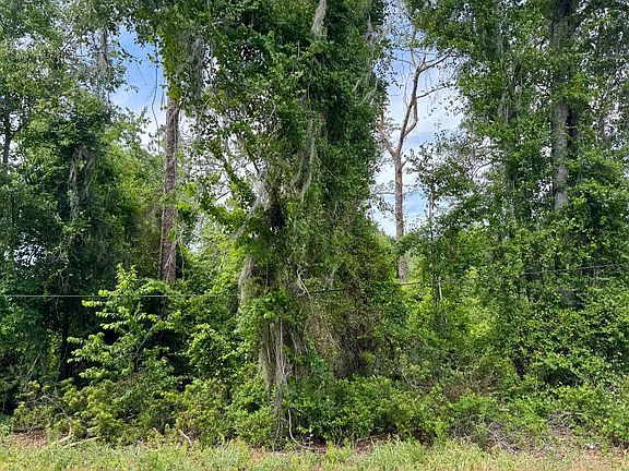 2nd image of LOT 1 Maplewood Rd