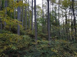 78 Apgar Rd, Candler, NC 28715