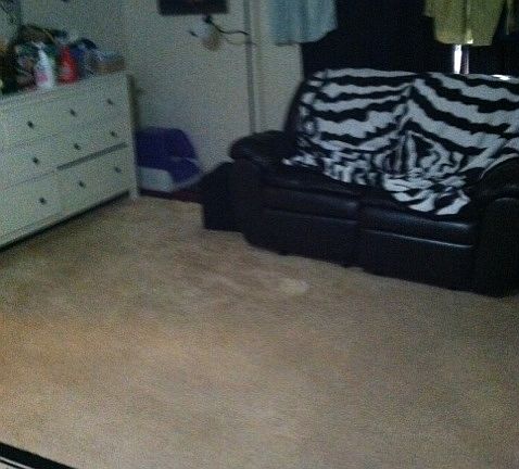 2nd image of 281 Mighty Oak Ln