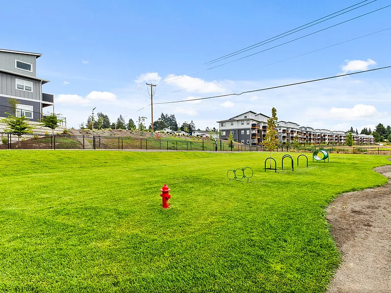 Verda Crossing | Dog Park