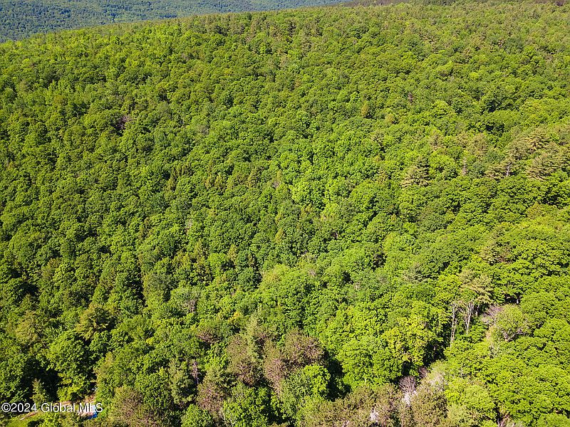 4th image of 283 Fulton Hill Road