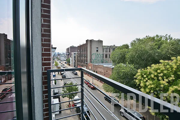 Rented by Fiddler Realty | media 37