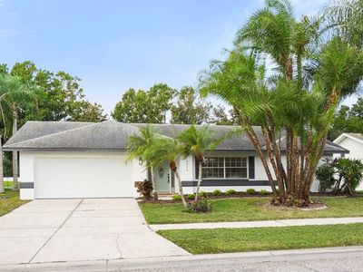 12913 Astorwood Pl, Riverview, FL, 33579