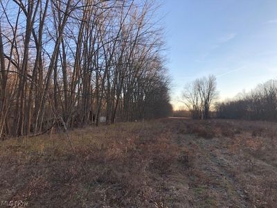 Buffham Rd, Seville, OH, 44273