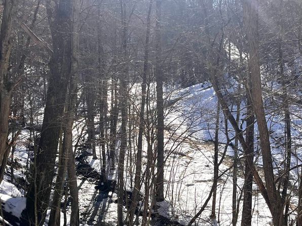 TRACT 3 Fill Hollow Rd, Tunnelton, WV 26444
