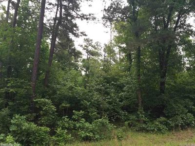 11 Memory Ln, Higden, AR, 72067