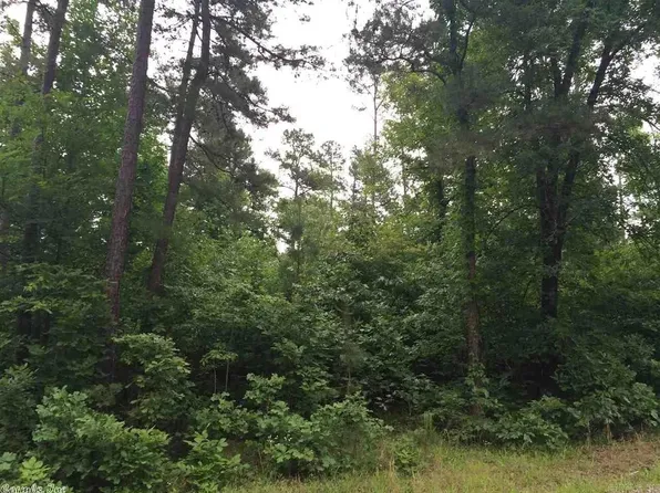11 Memory Ln, Higden, AR 72067