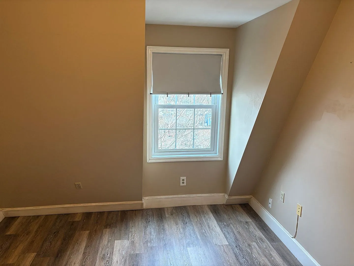 Large 1 Bedroom apartment — Photo 2
