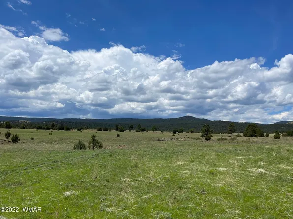 TRACT County Road 1334, Greer, AZ 85927