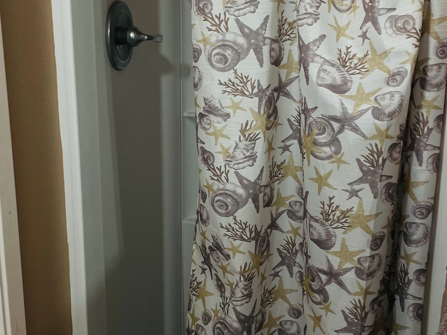 1 bed, 1300 sqft, $815 — Photo 3
