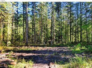 64293 E Brightwood Loop Rd, Brightwood, OR 97011