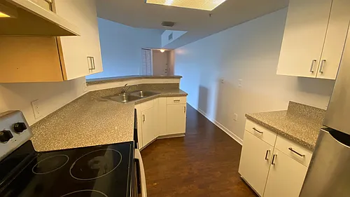 5025 Wiles Rd #303 Photo 1 5025 Wiles Rd #303 Photo 1