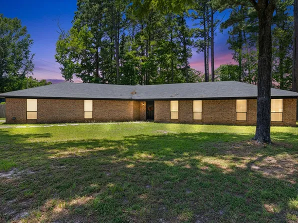 141 Fran St, Diana, TX 75640