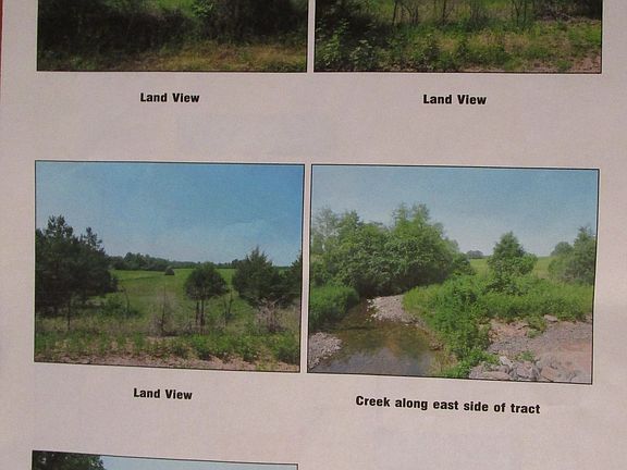 Pictures of actual lot