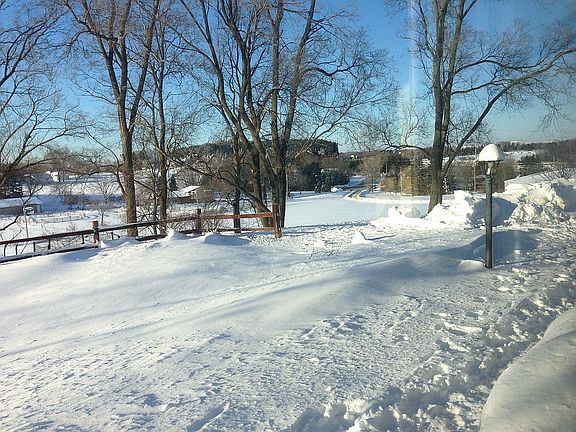 Winter view out front window