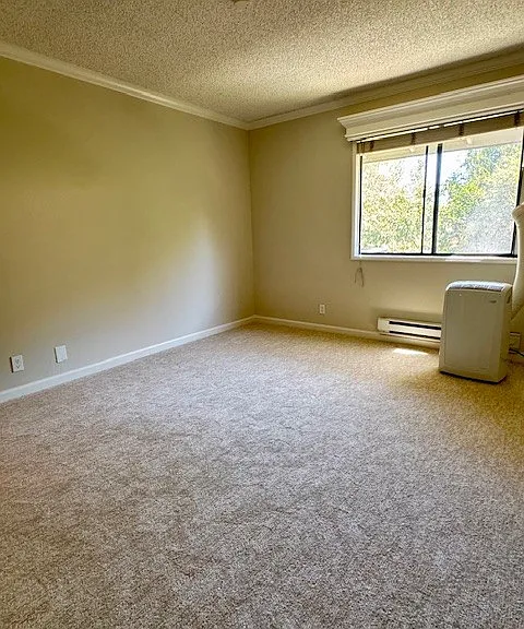 1407 Marchbanks Dr — Photo 10