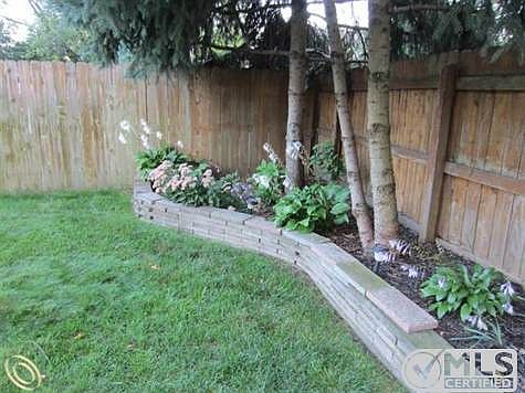 Backyard1.JPG