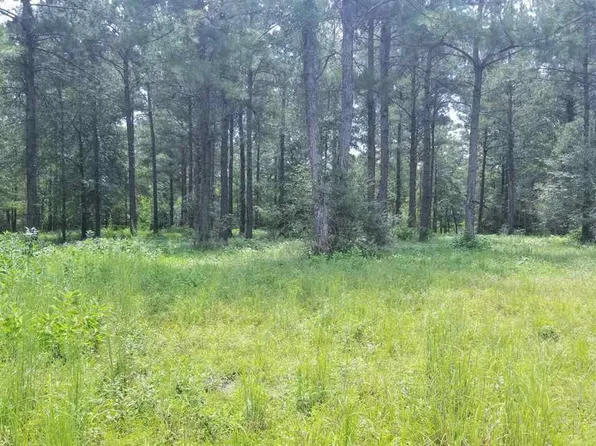 3 Harbor Rd, Andalusia, AL 36421