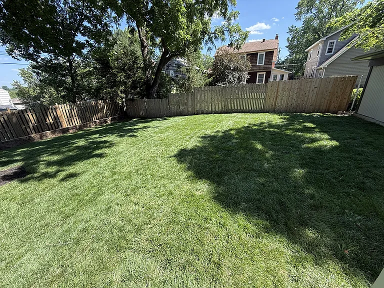 Backyard is amazing!