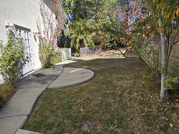 Sideyard - expertly landscaped