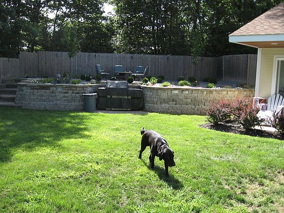 other yard view